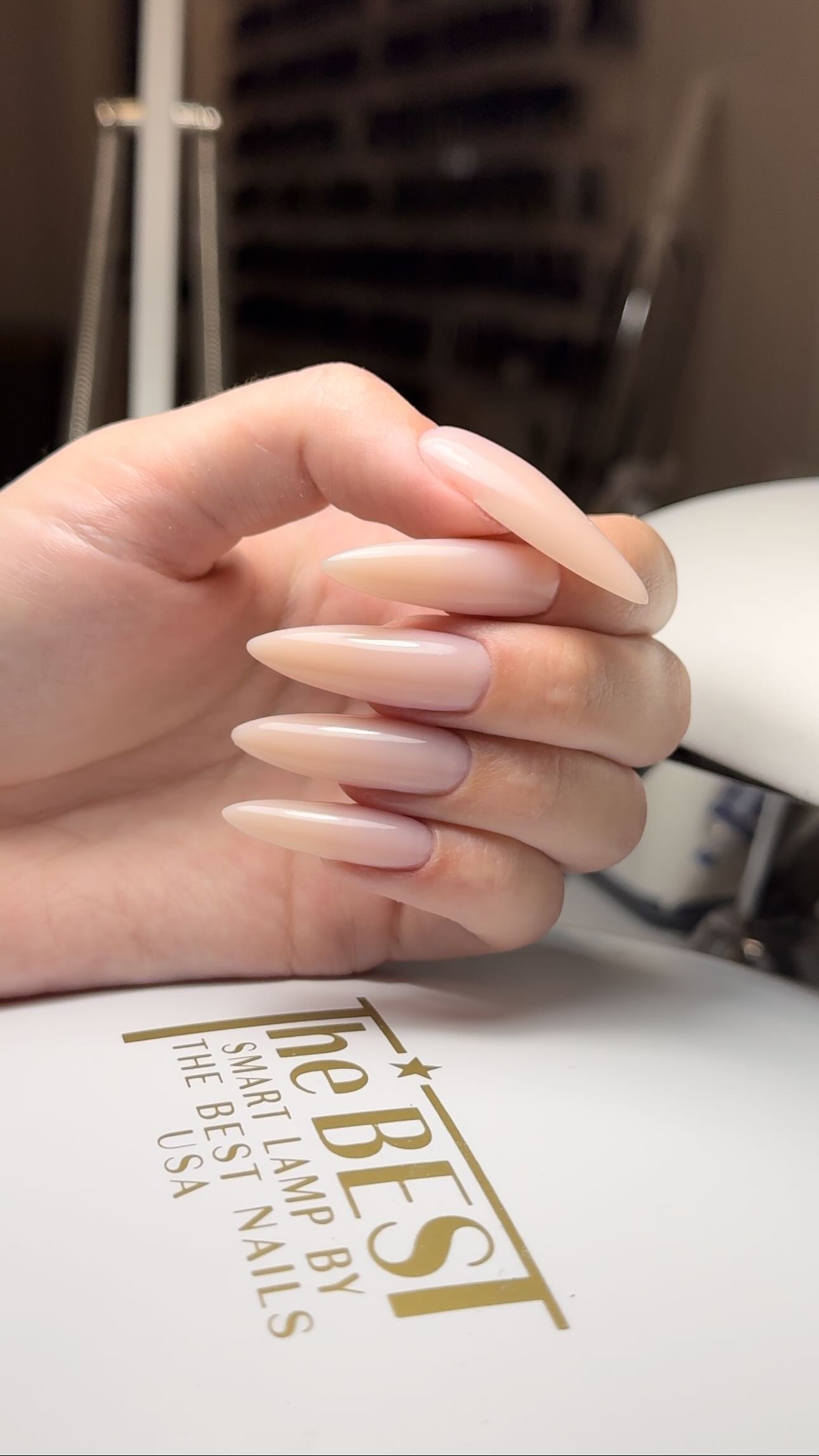 Elegant Nude Stiletto Nails